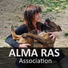 Revendeurs de Truffes Dorées en France - Association Alma Ras