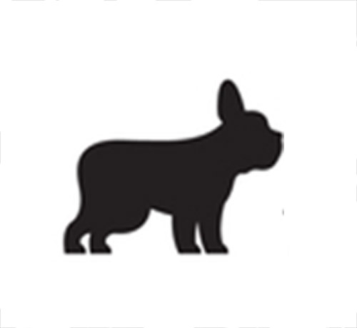 Staffordshire bull terrier  