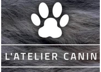 Revendeurs de Truffes Dorées en France - L'Atelier Canin