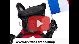 Truffes Dorées - Parti Animaliste